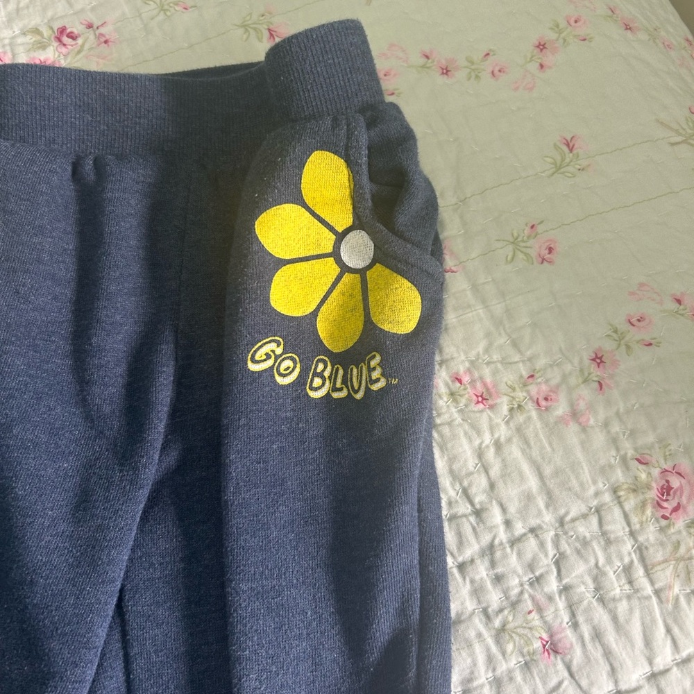 University of Michigan sweat set size 3T - Picture 4 of 5